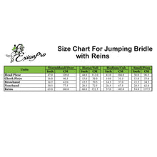 ExionPro SS / Brass Clincher Bridle With Flash and Reins