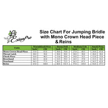 Replacement Noseband of ExionPro Padded Hunter Bridle