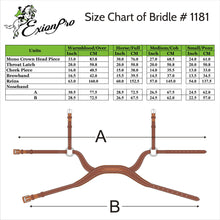 Replacement Noseband of ExionPro Anatomical Combined Flash Bridle with Reins