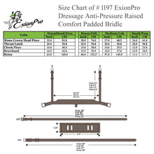ExionPro 'Ursa' Anatomic Dressage Bridle With Reins