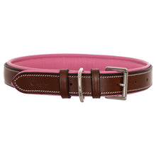 ExionPro Fancy Stitched Padded Leather Dog Collar - Pink Padding