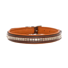 ExionPro Silver Clincher Padded Leather Dog Collar - Conker Padding