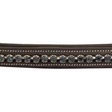 ExionPro Montana Blue Crystal Browband