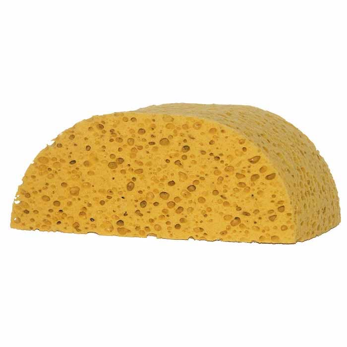Humpback Sponge, 8.5