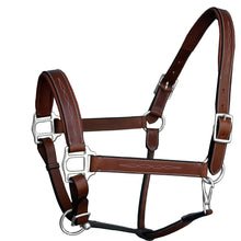 ExionPro Fancy Stitched Leather Halter - Brass Nickel Hardware