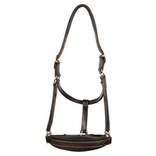 ExionPro Duo-Tone Leather Halter - Havana