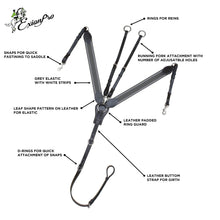 ExionPro Wide Elastic 3 Point Breastplate - Grey Elastic & White Lines