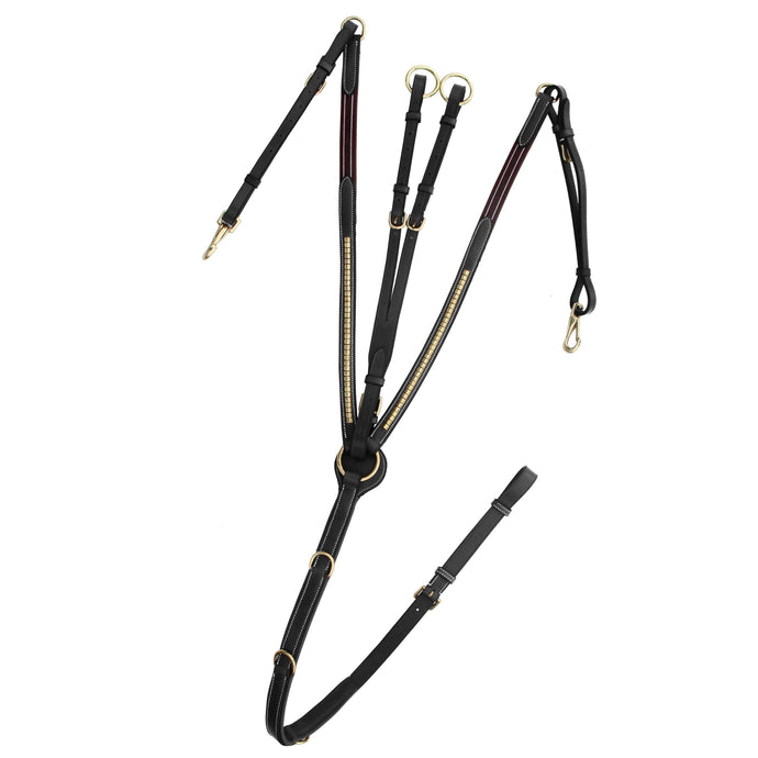 ExionPro Brass Clincher Breastplate