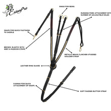 ExionPro Brass Clincher Breastplate