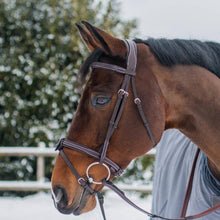 Replacement Noseband of ExionPro Fully Padded Snaffle Bridle with U Shaped Detachable Flash