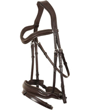 ExionPro 'Leo' Dressage Bridle with Reins