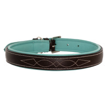 ExionPro Fancy Stitched Padded Leather Dog Collar - Sky Blue Padding