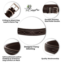 ExionPro Fancy Stitched Padded Leather Dog Collar - Oak Brown Padding