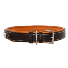 ExionPro Silver Clincher Padded Leather Dog Collar - Conker Padding