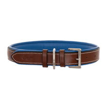 ExionPro Fancy Stitched Padded Leather Dog Collar - Blue Padding