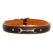 ExionPro Silver Snaffle Padded Leather Dog Collar - Conker Padding