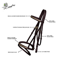 ExionPro SS / Brass Clincher Bridle With Flash and Reins