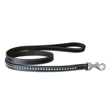 ExionPro Blue Bling Dog Leash