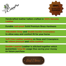 ExionPro Duo-Tone Leather Halter - White