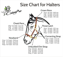 ExionPro Duo-Tone Leather Halter - White