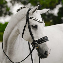 Diva Bridle (Dressage)