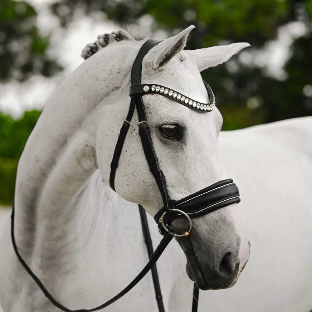 Diva Bridle (Dressage)