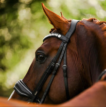 Diva Bridle (Dressage)
