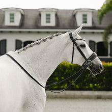 Diva Bridle (Dressage)