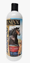 Banixx Veterinarian Strength Shampoo