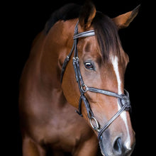 'AVA' GRACKLE BRIDLE (NO SHEEPSKIN)