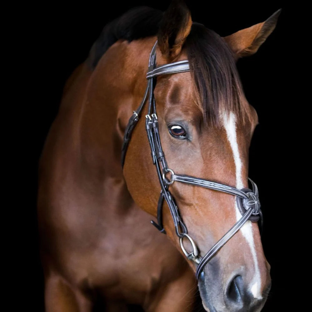 'AVA' GRACKLE BRIDLE (NO SHEEPSKIN)