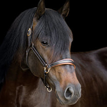 'BELLA' LEATHER HALTER