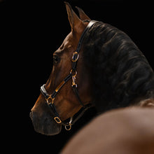 'BELLA' LEATHER HALTER