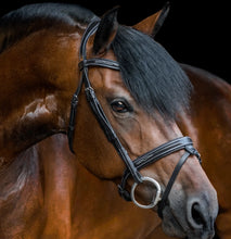 'MILAN' LEATHER BRIDLE (CONVERTIBLE)