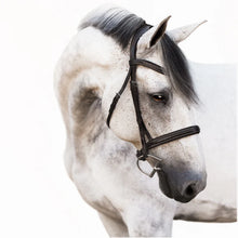 'MILAN' LEATHER BRIDLE (CONVERTIBLE)