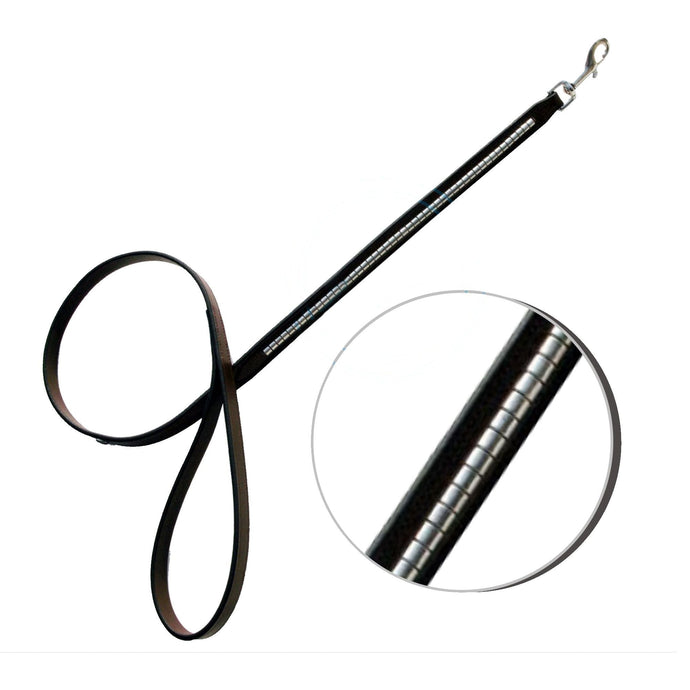 ExionPro Clincher Dog Leash