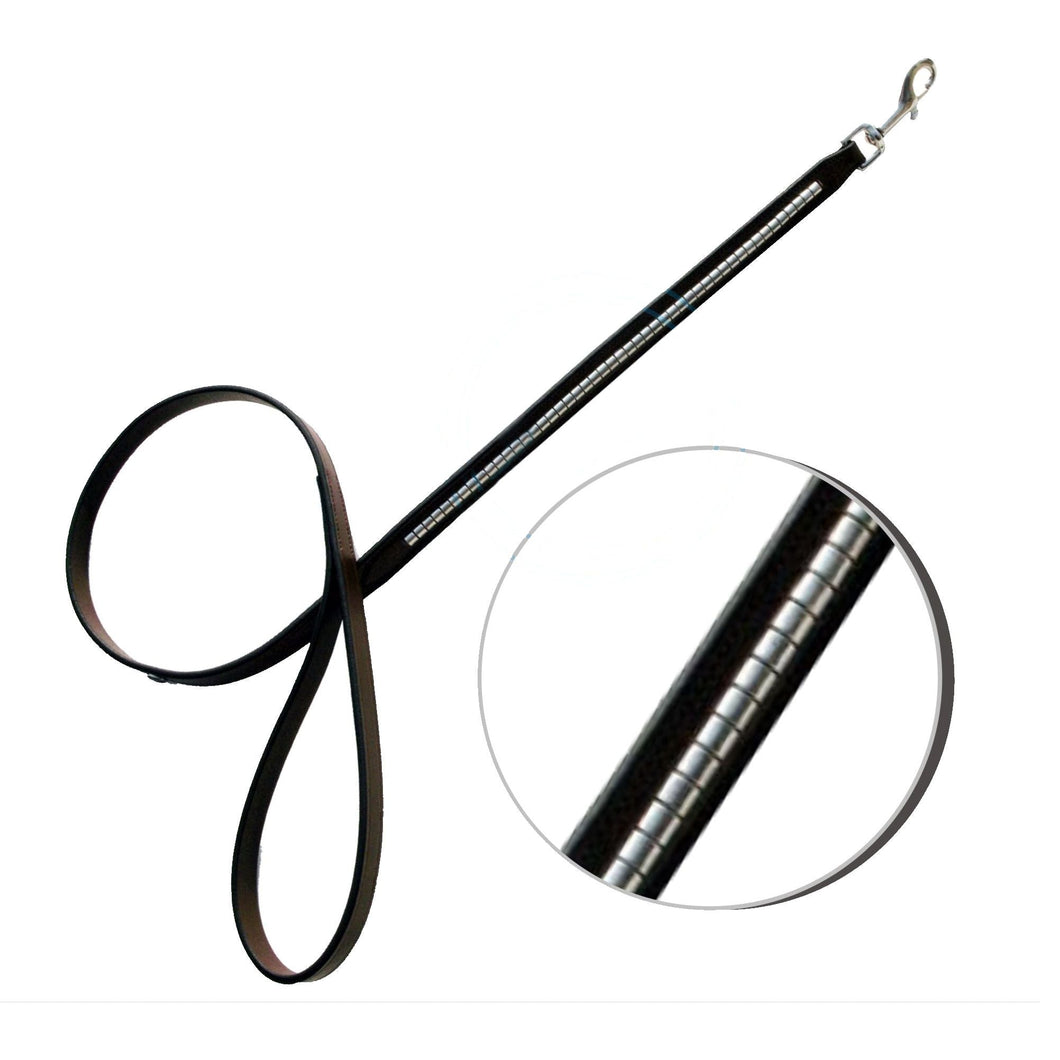 ExionPro Clincher Dog Leash