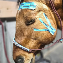 EQUINE|DEFENDER™ K Tape