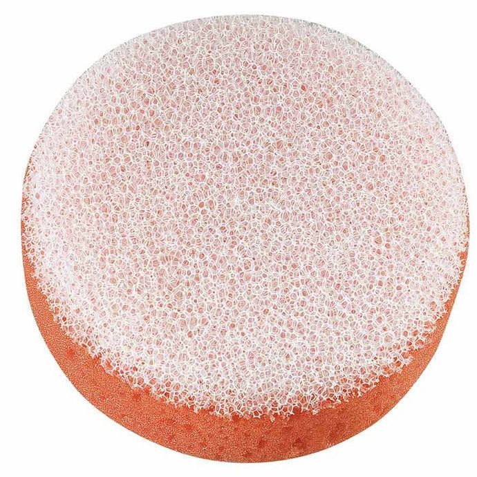 Sponge w/Scrubber