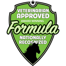 Draw It Out® 16oz High Potency Horse Liniment Gel – Powerful, Natural Relief