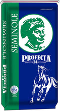 Seminole Profecta 14