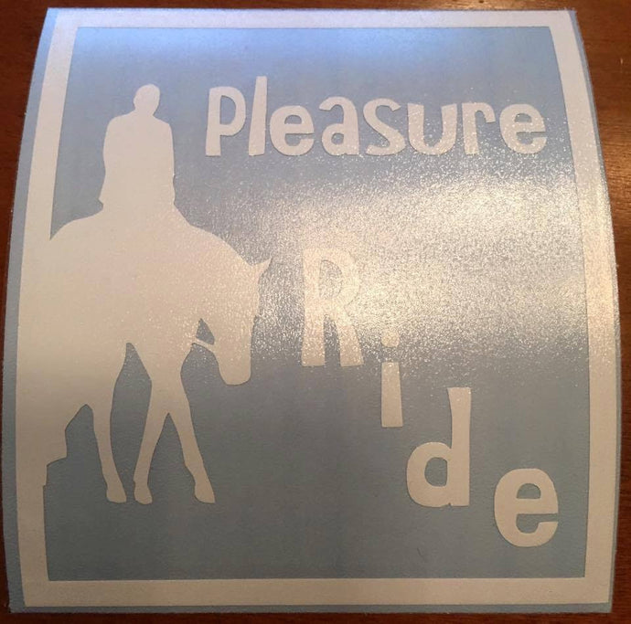 Pleasure Ride - KJ Creations 