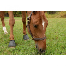 Essential BellBoot