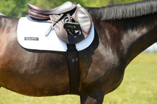 Essential Girth w/ SheepsWool liner