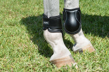 Young Horse HindBoot