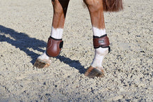 Young Horse HindBoot